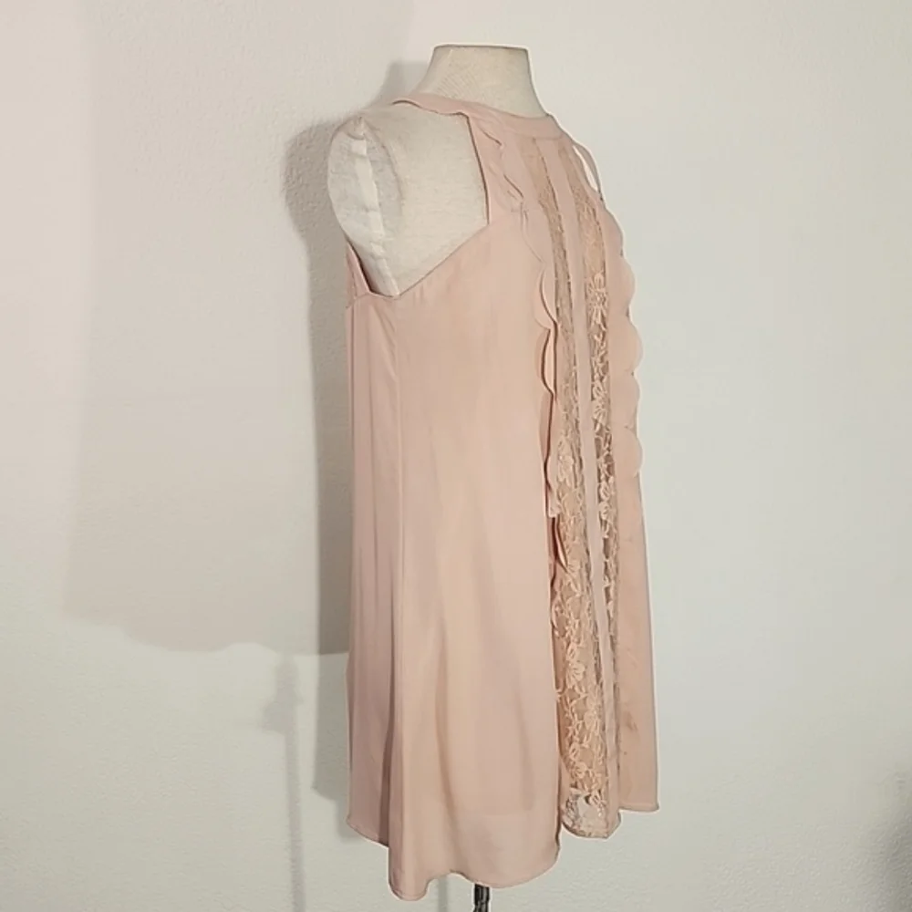Altered States Dress Lace Panel with Scalloped Ruffle Trapeze Style Pink Size M - Picture 6 of 14
